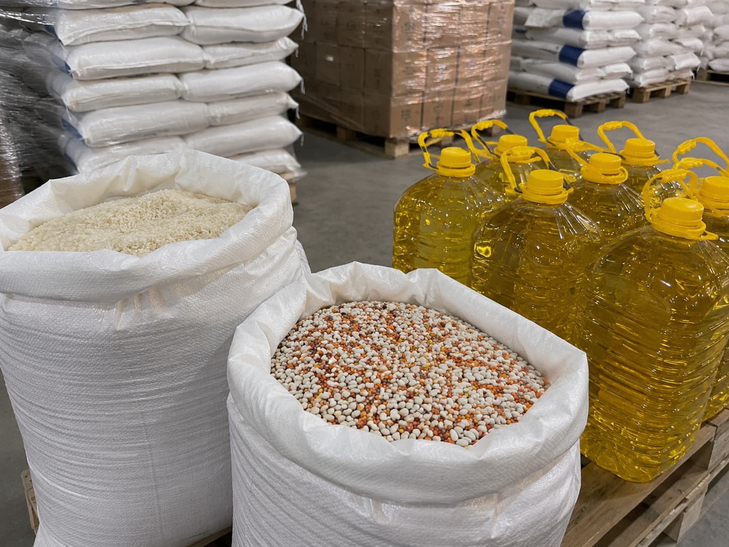 Rice, edible oil, and lentils arranged in a premium natural studio setting